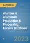 Alumina & Aluminum Production & Processing Eurasia Database - Product Thumbnail Image