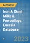 Iron & Steel Mills & Ferroalloys Eurasia Database - Product Thumbnail Image