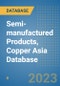 Semi-manufactured Products, Copper Asia Database - Product Thumbnail Image