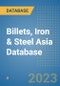 Billets, Iron & Steel Asia Database - Product Thumbnail Image