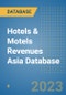 Hotels & Motels Revenues Asia Database - Product Image