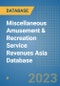 Miscellaneous Amusement & Recreation Service Revenues Asia Database - Product Thumbnail Image