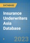 Insurance Underwriters Asia Database - Product Image