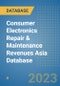 Consumer Electronics Repair & Maintenance Revenues Asia Database - Product Image