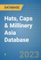 Hats, Caps & Millinery Asia Database - Product Image