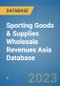 Sporting Goods & Supplies Wholesale Revenues Asia Database - Product Image