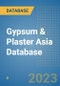 Gypsum & Plaster Asia Database - Product Image