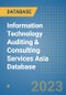 Information Technology Auditing & Consulting Services Asia Database - Product Image