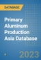 Primary Aluminum Production Asia Database - Product Thumbnail Image