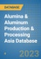 Alumina & Aluminum Production & Processing Asia Database - Product Thumbnail Image
