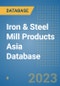 Iron & Steel Mill Products Asia Database - Product Thumbnail Image