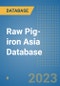 Raw Pig-iron Asia Database - Product Thumbnail Image