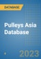 Pulleys Asia Database - Product Image