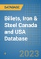 Billets, Iron & Steel Canada and USA Database - Product Thumbnail Image