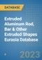 Extruded Aluminum Rod, Bar & Other Extruded Shapes Eurasia Database - Product Image