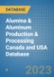 Alumina & Aluminum Production & Processing Canada and USA Database - Product Thumbnail Image