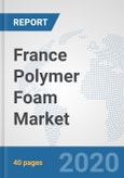 France Polymer Foam Market: Prospects, Trends Analysis, Market Size and Forecasts up to 2025- Product Image