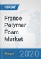 France Polymer Foam Market: Prospects, Trends Analysis, Market Size and Forecasts up to 2025 - Product Thumbnail Image