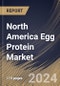 North America Egg Protein Market Size, Share & Trends Analysis Report By Form (Powder, and Liquid), By Type (Egg White Protein, Whole Egg Protein, and Egg Yolk Protein), By Application, By Country and Growth Forecast, 2024 - 2031 - Product Thumbnail Image