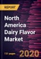 North America Dairy Flavor Market Forecast to 2027 - COVID-19 Impact and Regional Analysis by Flavor Type; Form; Application - Product Thumbnail Image