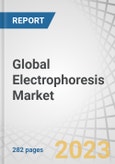 Global Electrophoresis Market by Product (Reagents (Protein & Nucleic Acid), (Gel Electrophoresis (1D & 2D), Capillary Electrophoresis (CZE, CGE), GDS, Software), Application (Research, Diagnostics), End User (Hospitals) & Region - Forecast to 2028- Product Image