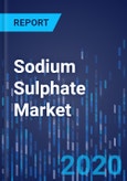 Sodium Sulphate Market Research Report: By Application - Global Market Size, Share, Trends Analysis and Growth Forecast to 2024- Product Image
