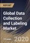 Global Data Collection and Labeling Market By Data type, By End User, By Region, Industry Analysis and Forecast, 2020 - 2026 - Product Thumbnail Image
