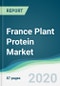 France Plant Protein Market - Forecasts from 2020 to 2025 - Product Thumbnail Image