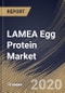 LAMEA Egg Protein Market Size, Share & Trends Analysis Report By Form (Powder, and Liquid), By Type (Egg White Protein, Whole Egg Protein, and Egg Yolk Protein), By Application, By Country and Growth Forecast, 2024 - 2031 - Product Image
