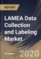 LAMEA Data Collection and Labeling Market By Data type, By End User, By Country, Industry Analysis and Forecast, 2020 - 2026 - Product Thumbnail Image