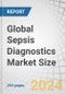 Global Sepsis Diagnostics Market Size By Technology (Microbiology, PCR, Immunoassay, microfluidics, Biomarker), Product (Media, Reagent, Instrument), Method (Automated), Test (Lab, POC), Pathogen (Bacterial, Fungal), End User & Region - Forecast to 2029 - Product Image