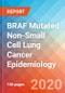 BRAF Mutated Non-Small Cell Lung Cancer (NSCLC) - Epidemiology Forecast to 2030 - Product Thumbnail Image
