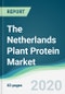 The Netherlands Plant Protein Market - Forecasts from 2020 to 2025 - Product Thumbnail Image