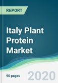 Italy Plant Protein Market - Forecasts from 2020 to 2025- Product Image