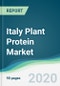 Italy Plant Protein Market - Forecasts from 2020 to 2025 - Product Thumbnail Image