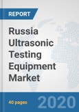 Russia Ultrasonic Testing Equipment Market: Prospects, Trends Analysis, Market Size and Forecasts up to 2025- Product Image