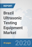 Brazil Ultrasonic Testing Equipment Market: Prospects, Trends Analysis, Market Size and Forecasts up to 2025- Product Image