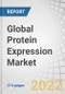 Global Protein Expression Market by Type (E.Coli, Mammalian, CHO, HEK 293, Insect, Pichia, Cell-free), Products (Reagents, Vectors, Competent Cells, Instruments, Service), Application (Therapeutic, Industrial), End User, and Region - Forecast to 2027 - Product Thumbnail Image