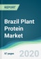 Brazil Plant Protein Market - Forecasts from 2020 to 2025 - Product Thumbnail Image