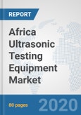 Africa Ultrasonic Testing Equipment Market: Prospects, Trends Analysis, Market Size and Forecasts up to 2025- Product Image
