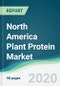 North America Plant Protein Market - Forecasts from 2020 to 2025 - Product Thumbnail Image