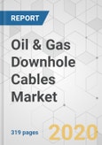 Oil & Gas Downhole Cables Market - Global Industry Analysis, Size, Share, Growth, Trends, and Forecast, 2019 - 2027- Product Image