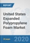 United States Expanded Polypropylene Foam Market: Prospects, Trends Analysis, Market Size and Forecasts up to 2025 - Product Thumbnail Image
