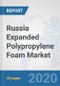 Russia Expanded Polypropylene Foam Market: Prospects, Trends Analysis, Market Size and Forecasts up to 2025 - Product Thumbnail Image