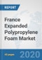 France Expanded Polypropylene Foam Market: Prospects, Trends Analysis, Market Size and Forecasts up to 2025 - Product Thumbnail Image