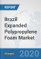 Brazil Expanded Polypropylene Foam Market: Prospects, Trends Analysis, Market Size and Forecasts up to 2025 - Product Thumbnail Image