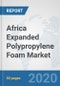 Africa Expanded Polypropylene Foam Market: Prospects, Trends Analysis, Market Size and Forecasts up to 2025 - Product Thumbnail Image