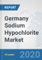 Germany Sodium Hypochlorite Market: Prospects, Trends Analysis, Market Size and Forecasts up to 2025 - Product Thumbnail Image