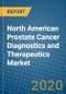 North American Prostate Cancer Diagnostics and Therapeutics Market 2019-2025 - Product Thumbnail Image