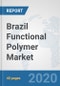 Brazil Functional Polymer Market: Prospects, Trends Analysis, Market Size and Forecasts up to 2025 - Product Thumbnail Image
